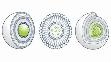 Nova Absorption microencapsulated and liposomal micronutrient delivery